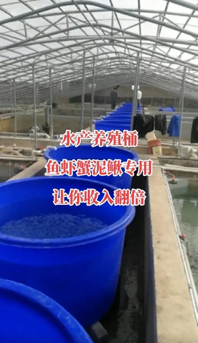 挑戰(zhàn)全網(wǎng)最高性價(jià)比水產(chǎn)養(yǎng)殖桶039508.#源頭實(shí)力廠家 # - 抖音