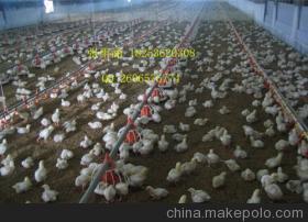 【料盤廠家 家禽飼養(yǎng)設(shè)備 塑料料盤】?jī)r(jià)格,廠家,圖片,畜牧養(yǎng)殖機(jī)械配件,諸城市中興畜牧機(jī)械有限責(zé)任公司-