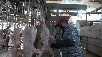 “眾志成城,抗擊疫情-新干在行動”專欄-家禽不好賣?政府來幫忙