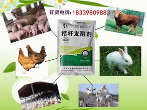 其他飼料添加劑價格 如何發(fā)酵玉米秸稈做牛飼料喂牛 花費的成本高嗎批發(fā)價格 鄭州市
