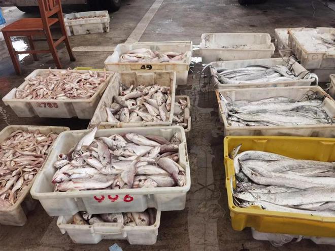 “雙節(jié)”海鮮銷售情況如何?記者實探:部分海魚價格較往年下降,淡水類養(yǎng)殖水產(chǎn)品受歡迎,海鮮酒店包房預(yù)定火爆