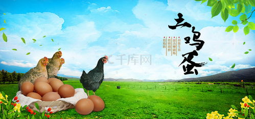 雞蛋背景背景圖片 雞蛋背景背景素材圖片 千庫網(wǎng)