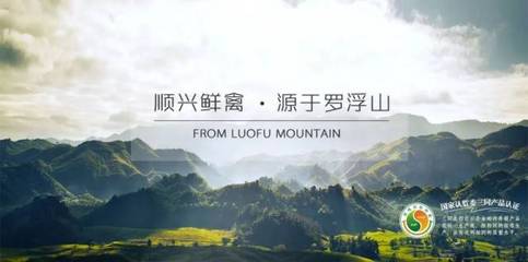 唐順興:一只“供港雞”的國(guó)際化之旅|廣東農(nóng)產(chǎn)品出口典型案例