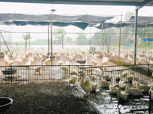 全面禁止 瑞金一地發(fā)出通知