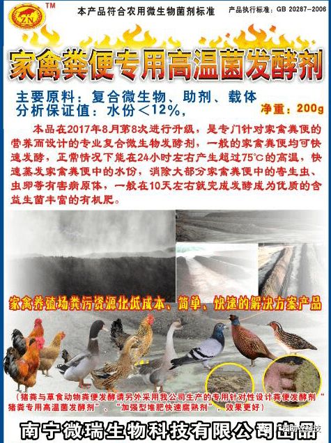 這個鴨場采用益生菌養(yǎng)殖青頭鴨 專業(yè)菌種發(fā)酵鴨糞制作有機肥形成生態(tài)養(yǎng)殖效益高