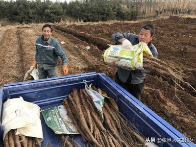 農(nóng)村大叔的致富之路