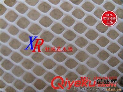 塑料網(wǎng) 批發(fā)家禽網(wǎng) 養(yǎng)殖網(wǎng) 養(yǎng)雞網(wǎng) 攔雞網(wǎng) 尼龍網(wǎng) 塑料網(wǎng) 防鳥網(wǎng)漁網(wǎng)圍網(wǎng)-沭陽縣新河鎮(zhèn)軒瑞花木場(chǎng)提供塑料網(wǎng) 批發(fā)家禽網(wǎng) 養(yǎng)殖網(wǎng) 養(yǎng)雞網(wǎng) 攔雞網(wǎng) 尼龍網(wǎng) 塑料網(wǎng) 防鳥網(wǎng)漁網(wǎng)圍網(wǎng)的相關(guān)介紹、產(chǎn)品、服務(wù)、圖片、價(jià)格沭陽縣新河鎮(zhèn)軒瑞花木場(chǎng)、綠化苗;果樹苗;種子;盆栽;園藝用品;花盆;水生植物;牧草種子