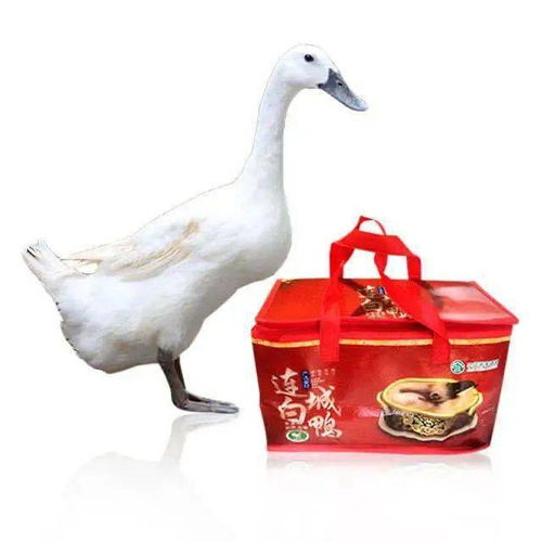 明日廈門這里要火了 海峽導(dǎo)購(gòu)開啟大型特賣會(huì),全場(chǎng)1元起,就等你來(lái)