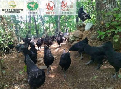 首屆“海安-略陽(yáng)”年貨節(jié)【第二期】農(nóng)特產(chǎn)品提前品味!