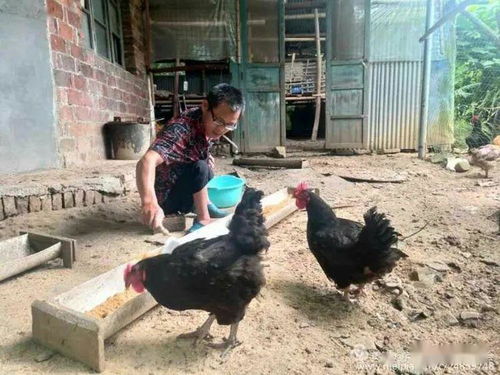 蘆溪縣貧困殘疾人自強(qiáng)脫貧風(fēng)采掠影