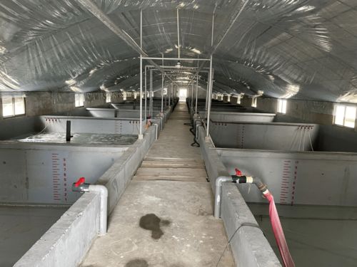 水產(chǎn)養(yǎng)殖污染遠超工業(yè)，專家呼吁行業(yè)轉型