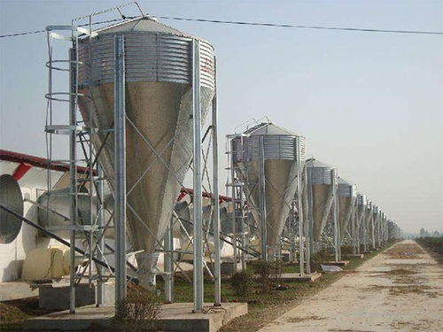 養(yǎng)殖料塔 助力現(xiàn)代農(nóng)牧與水產(chǎn)養(yǎng)殖高效發(fā)展